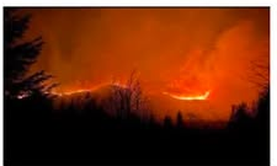“Superb response” to appeal for wildfire fighting equipment.