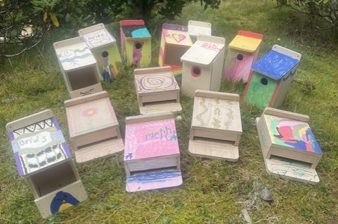 Making birds and bats feel at home in Hazelbank Woods