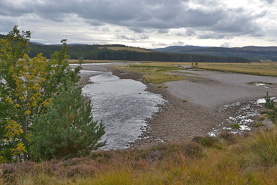 An Autumn Update from the Findhorn, Nairn & Lossie Rivers Trust